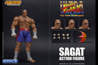 1/12 Scale Sagat (Ultra Street Fighter II: The Final Challengers)