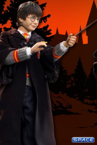 1/6 Scale Harry Potter Halloween Version (Harry Potter)