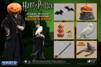 1/6 Scale Harry Potter Halloween Version (Harry Potter)