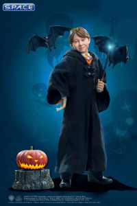 1/6 Scale Ron Weasley Halloween Version (Harry Potter)