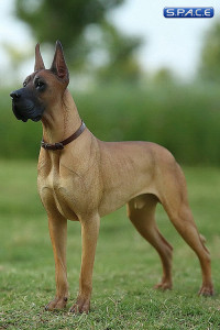 1/6 Scale beige Great Dane