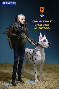 1/6 Scale white spotted Great Dane