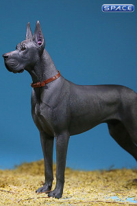 1/6 Scale dark grey Great Dane