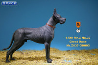 1/6 Scale dark grey Great Dane