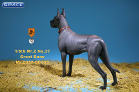 1/6 Scale dark grey Great Dane