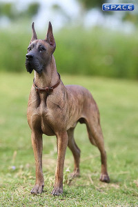 1/6 Scale brown Great Dane