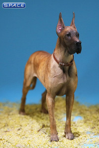 1/6 Scale brown Great Dane