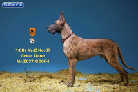 1/6 Scale brown Great Dane