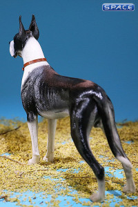 1/6 Scale black-white Great Dane