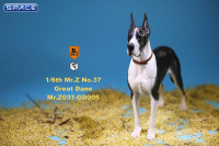 1/6 Scale black-white Great Dane