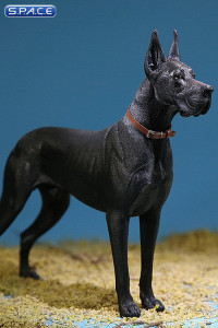 1/6 Scale black Great Dane