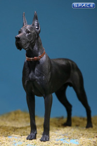 1/6 Scale black Great Dane