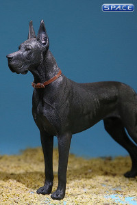 1/6 Scale black Great Dane