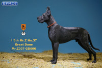 1/6 Scale black Great Dane