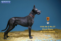 1/6 Scale black Great Dane