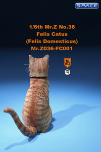 1/6 Scale orange tabby Cat