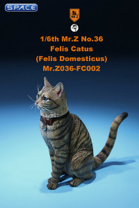 1/6 Scale mackerel tabby Cat