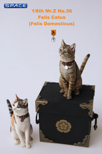 1/6 Scale mackerel tabby Cat