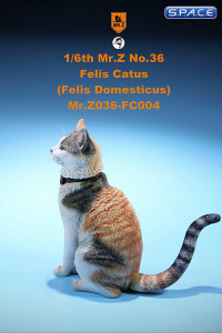 1/6 Scale tricolored Cat