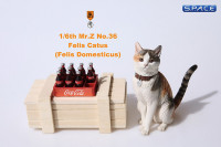 1/6 Scale tricolored Cat