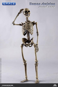 1/6 Scale The Human Skeleton Metal Body