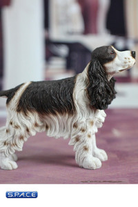 1/6 Scale brown Springer Spaniel