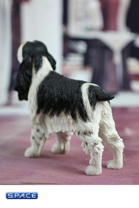 1/6 Scale black Springer Spaniel