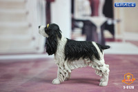 1/6 Scale black Springer Spaniel