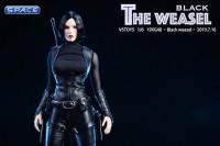 1/6 Scale Black Weasel Set with Head Sculpt