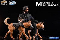 1/6 Scale light brown Malinois with Tactical Outfit