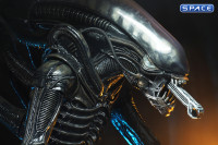 1/4 Scale Big Chap Alien 40th Anniversary (Alien)