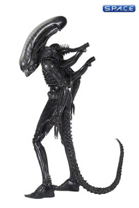 1/4 Scale Big Chap Alien 40th Anniversary (Alien)