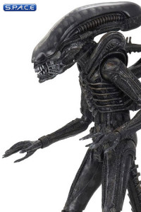 Ultimate Big Chap Alien 40th Anniversary (Alien)