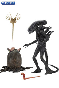 Ultimate Big Chap Alien 40th Anniversary (Alien)