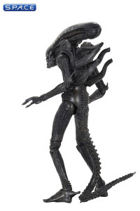 Ultimate Big Chap Alien 40th Anniversary (Alien)