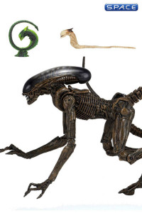 Ultimate Dog Alien (Alien 3)