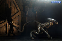 Ultimate Dog Alien (Alien 3)