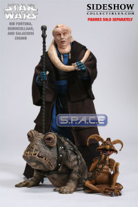 1/6 Scale Buboicullaar Creature Pack (Star Wars)