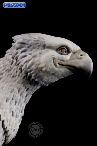 Harry Potter and Buckbeak Q-Fig Max Figure (Harry Potter)