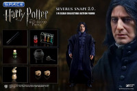 1/6 Scale Severus Snape 2.0 (Harry Potter and the Half-Blood Prince)