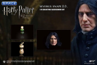 1/6 Scale Severus Snape 2.0 Accessories Set (Harry Potter and the Half-Blood Prince)