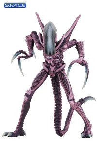 Set of 2: Razor Claws Alien and Arachnoid Alien (Avs.P Arcade Appearance Series 1)