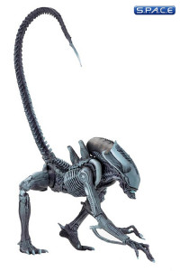 Set of 2: Razor Claws Alien and Arachnoid Alien (Avs.P Arcade Appearance Series 1)