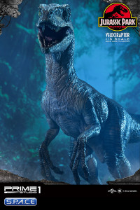 1/6 Scale Velociraptor Legacy Museum Collection Statue - open Mouth Version (Jurassic Park)