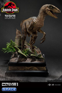 1/6 Scale Velociraptor Legacy Museum Collection Statue - open Mouth Version (Jurassic Park)