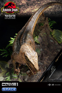 1/6 Scale Velociraptor Legacy Museum Collection Statue - open Mouth Version (Jurassic Park)