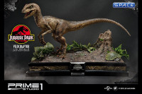 1/6 Scale Velociraptor Legacy Museum Collection Statue - open Mouth Version (Jurassic Park)