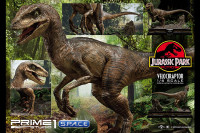 1/6 Scale Velociraptor Legacy Museum Collection Statue - open Mouth Version (Jurassic Park)
