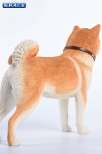 1/6 Scale red japanese Akita