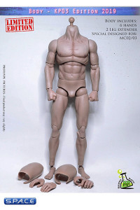 1/6 Scale Muscle Body pale KP03 - 2019 Version